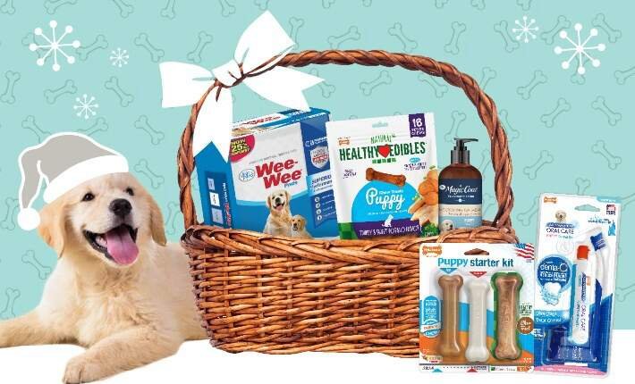 Gifts for Pet Lovers and Their Animals