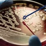 How Pharma Companies Are Addressing Antibiotic Resistance