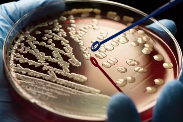 How Pharma Companies Are Addressing Antibiotic Resistance