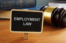 Navigating Employment Law for Workers