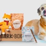 Top Gifts For Dog Lovers This Year