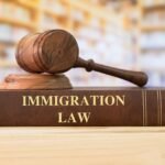 Understanding Immigration Laws in the U.S.