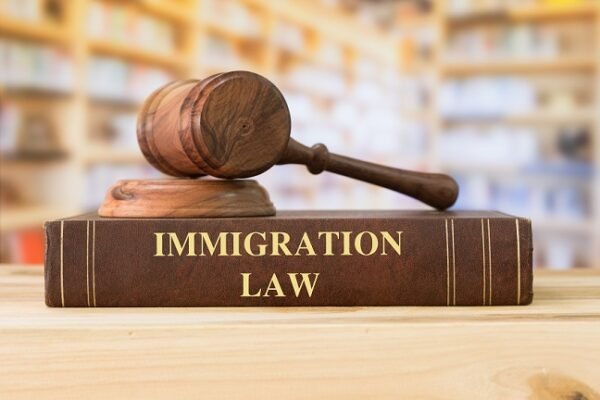 Understanding Immigration Laws in the U.S.