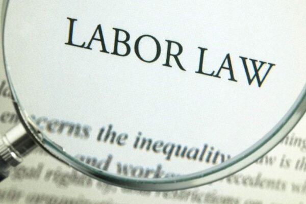 Understanding Labor Laws For Workers 2025