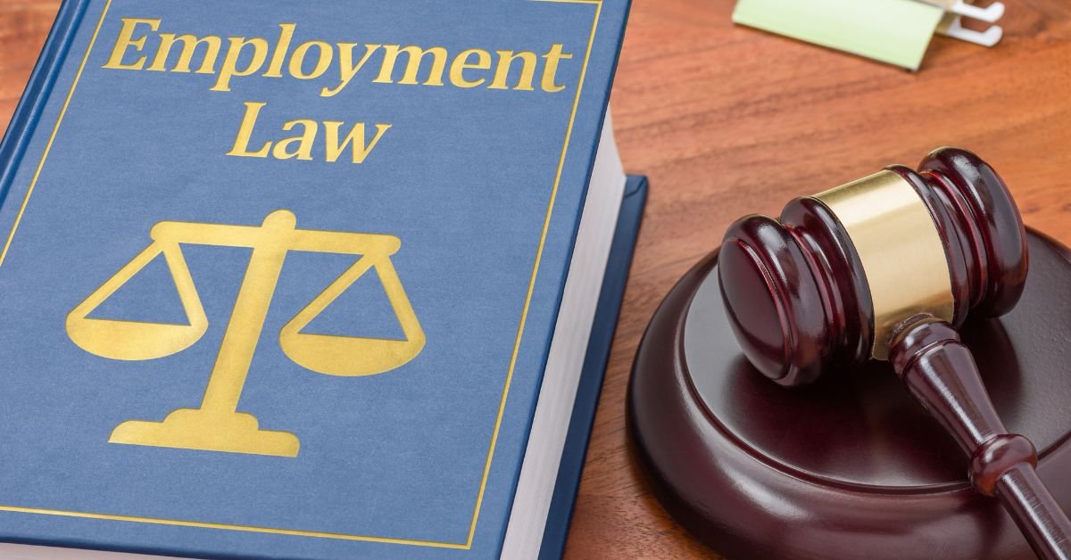 Understanding Your Rights: A Beginner’s Guide to Employment Law