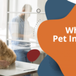 What Does Pet Insurance Cover and Is It Worth It?